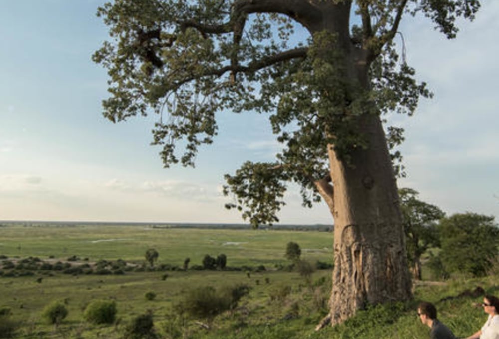 Muchenje Safari Lodge
